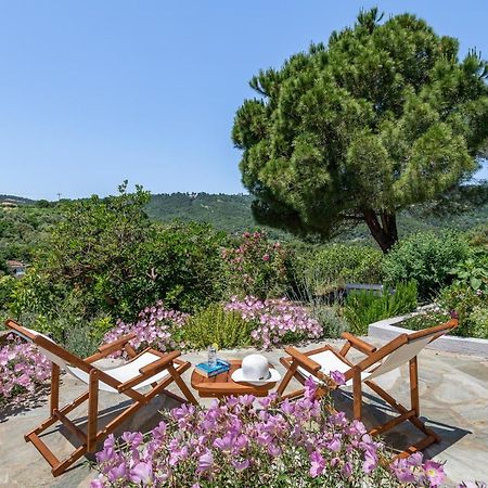 Villa Ambeli Bandar Skopelos Luaran gambar