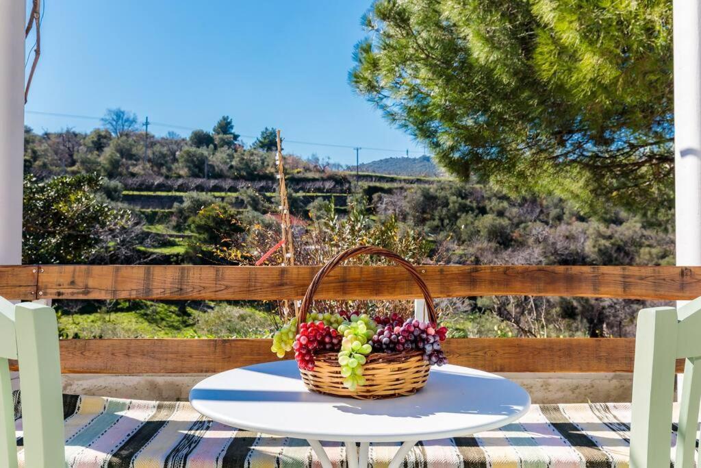 Villa Ambeli Bandar Skopelos Luaran gambar