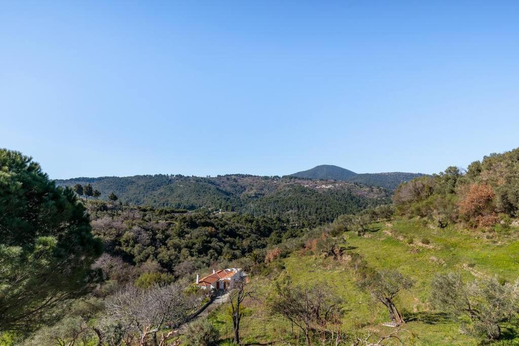 Villa Ambeli Bandar Skopelos Luaran gambar