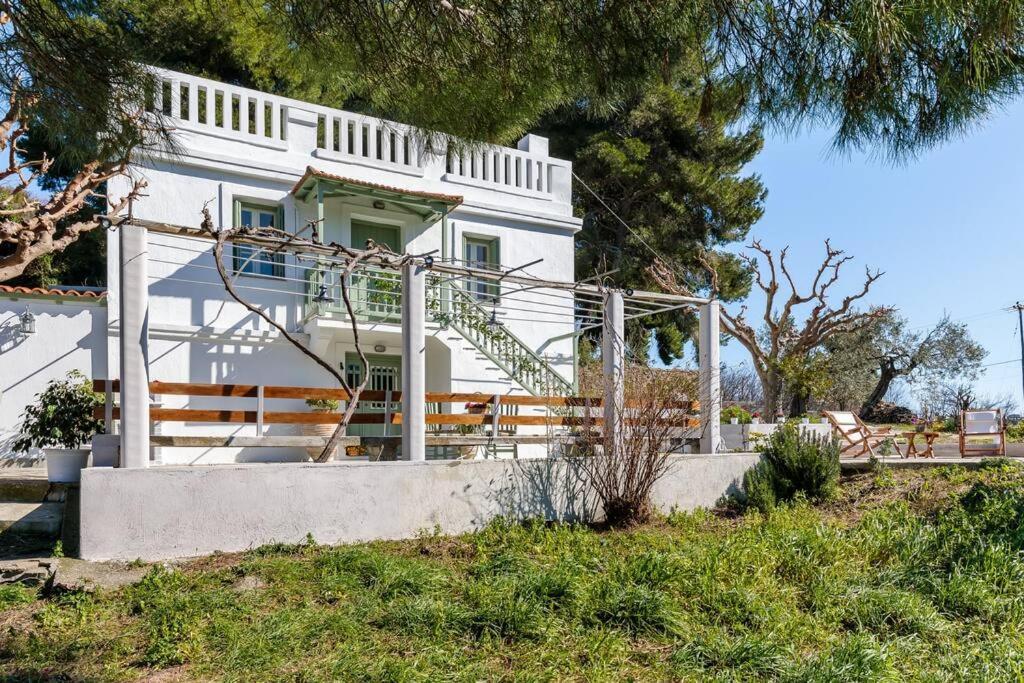 Villa Ambeli Bandar Skopelos Luaran gambar