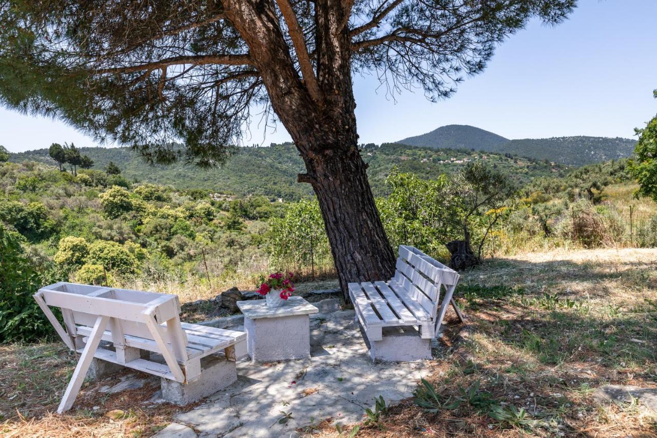 Villa Ambeli Bandar Skopelos Luaran gambar