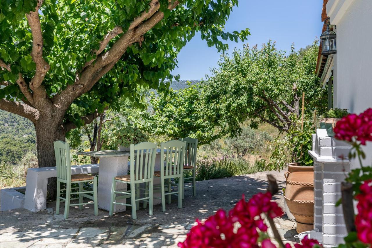 Villa Ambeli Bandar Skopelos Luaran gambar